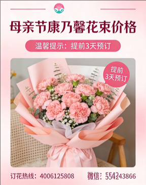 绵阳高新区花店母亲节康乃馨花束