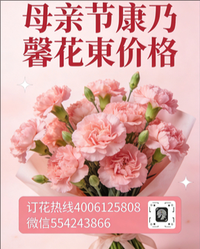 绵阳高新区花店母亲节康乃馨花束